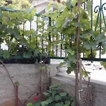 By The Sea Tisno, Murter - 3224 Apartment *