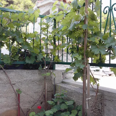 By The Sea Tisno, Murter - 3224 아파트 *