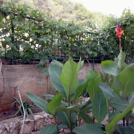 By The Sea Tisno, Murter - 3224