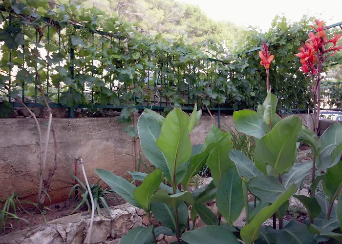 By The Sea Tisno, Murter - 3224